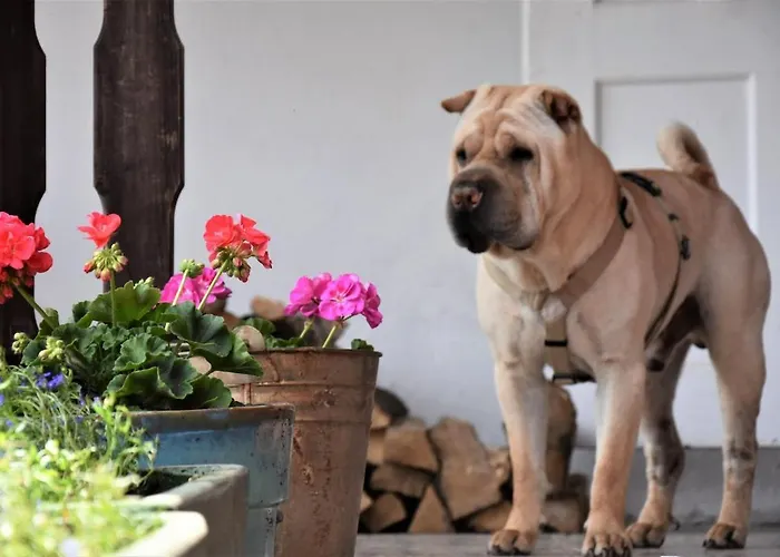 Σπίτι διακοπών In Hluboke u Kunstatu